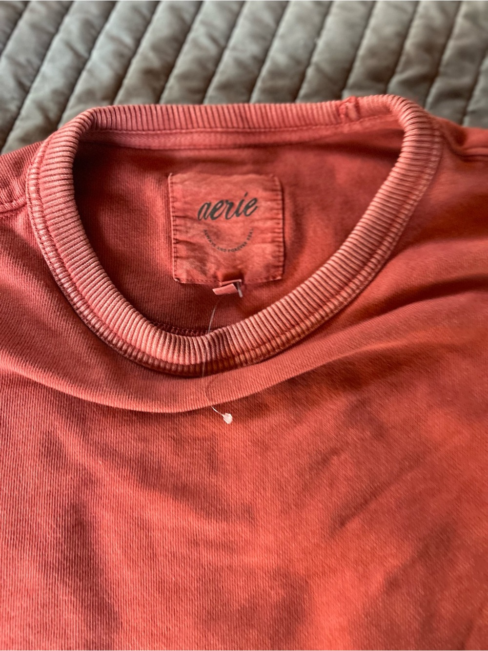 Aerie Coral Crewneck Sweatshirt - Picture 5 of 9